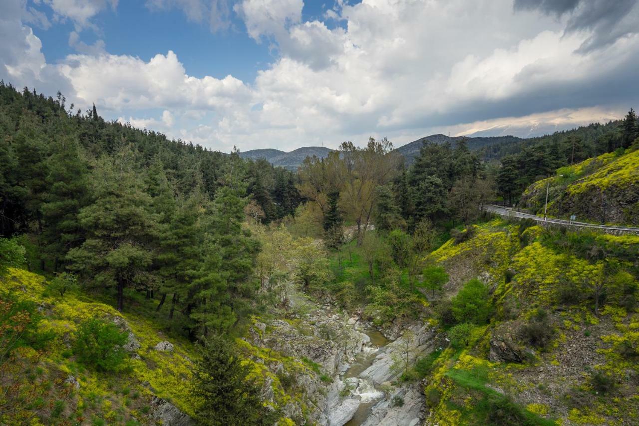 River Side Rooms Elassona Bagian luar foto
